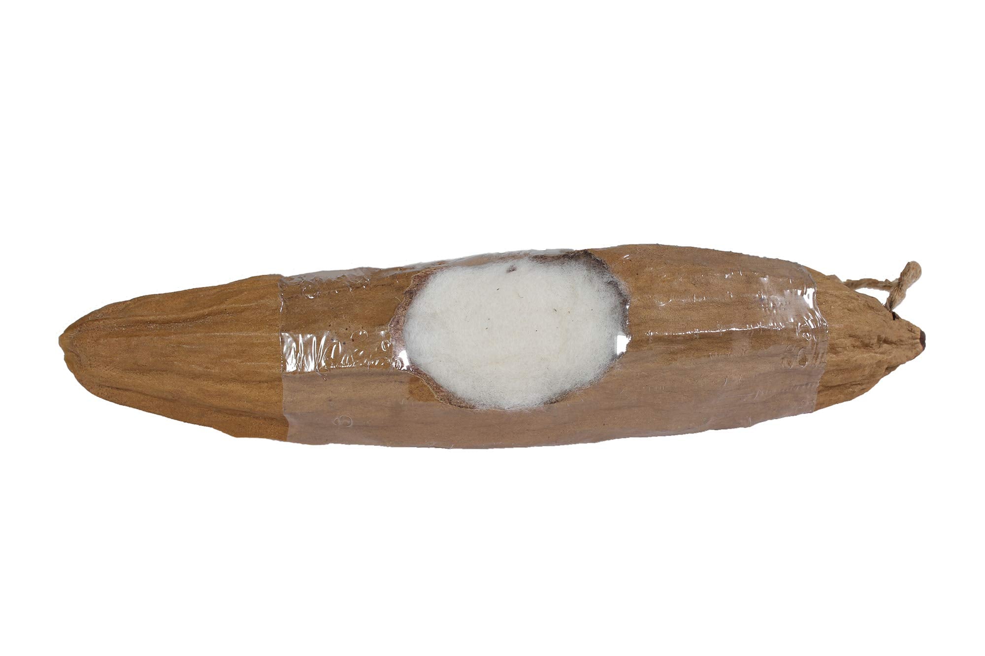 Penn-Plax Kapok Pod For Birds And Small Animals – Meets And Satisfies The Various Chewing And Nesting Needs Of Tiny Critters